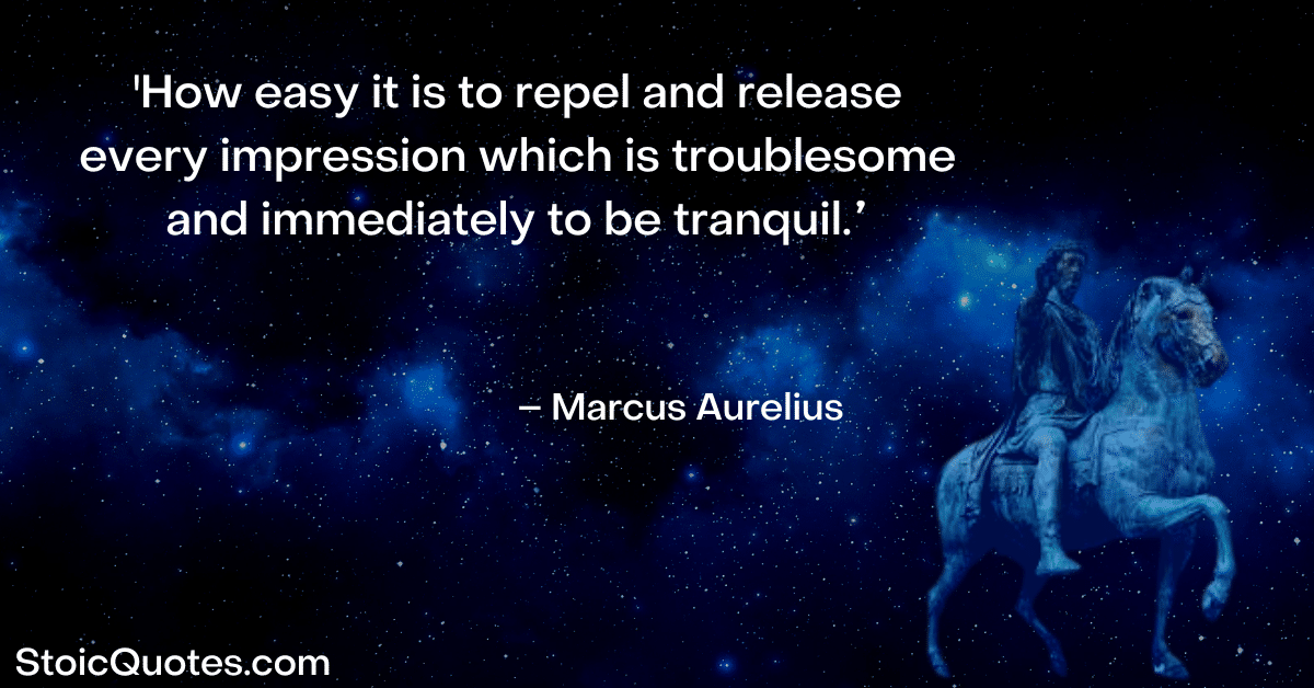 marcus aurelius image and quote about letting go of envy and unwanted passions