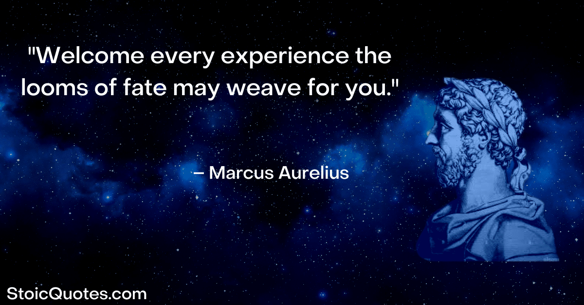 marcus aurelius image and quote about fate it is what it is