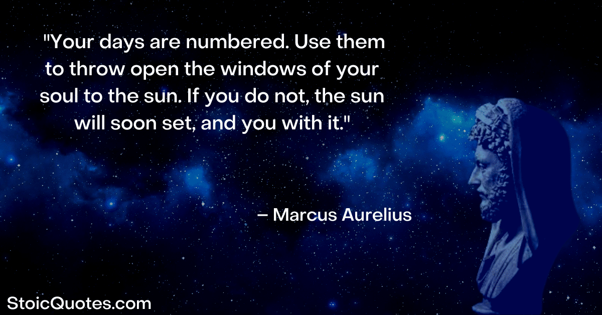 marcus aurelius image and quote “A Journey of a Thousand Miles Begins With a Single Step” - Meaning and History