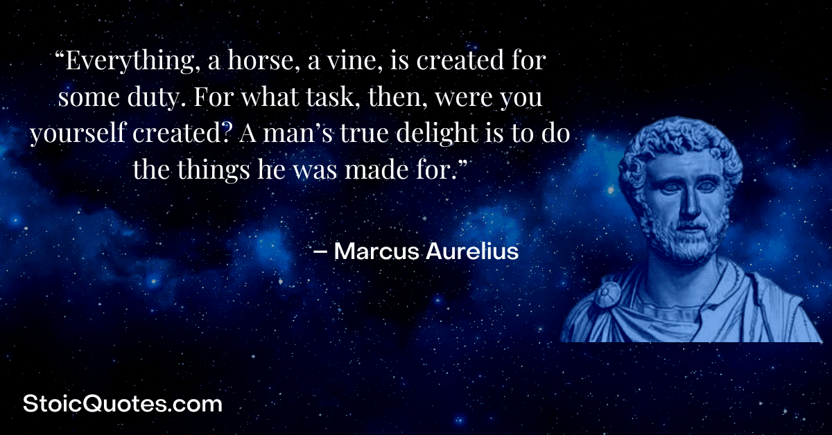 marcus aurelius image and quote about duty