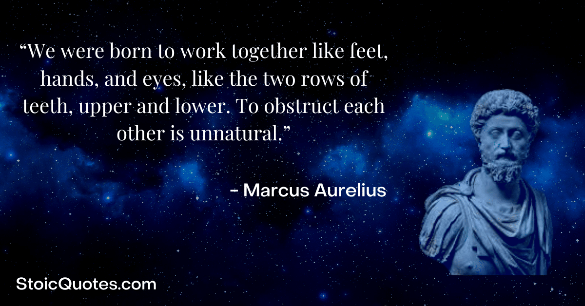 Marcus Aurelius image and quote about working together from meditations