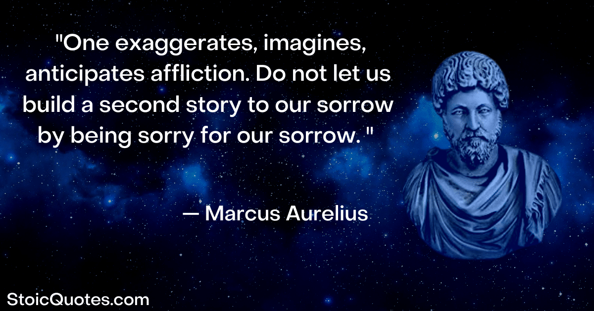marcus aurelius image and stoic quote about sickness