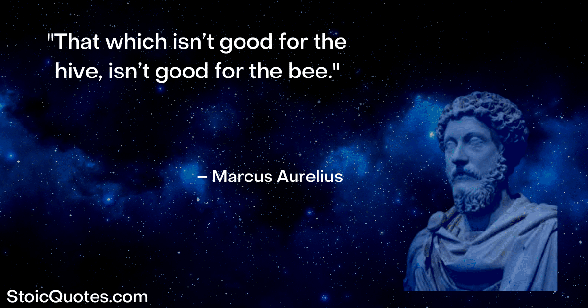 marcus aurelius image and quote about politics and governance