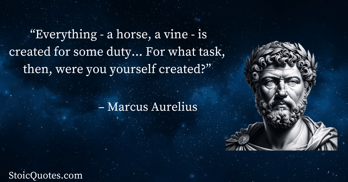 marcus aurelius 101 image and quote